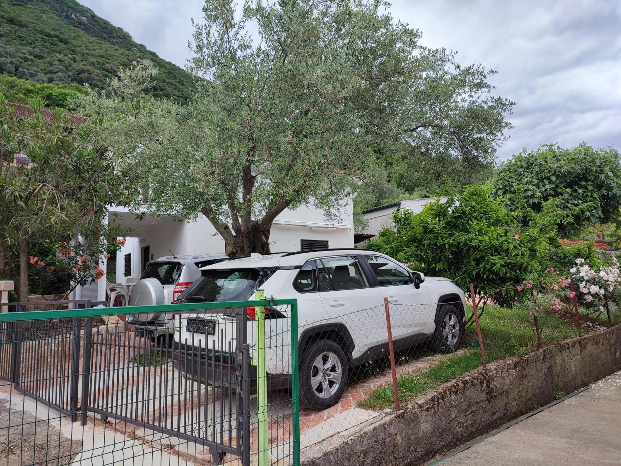 Holiday House In The Kotor Bay מראה חיצוני תמונה